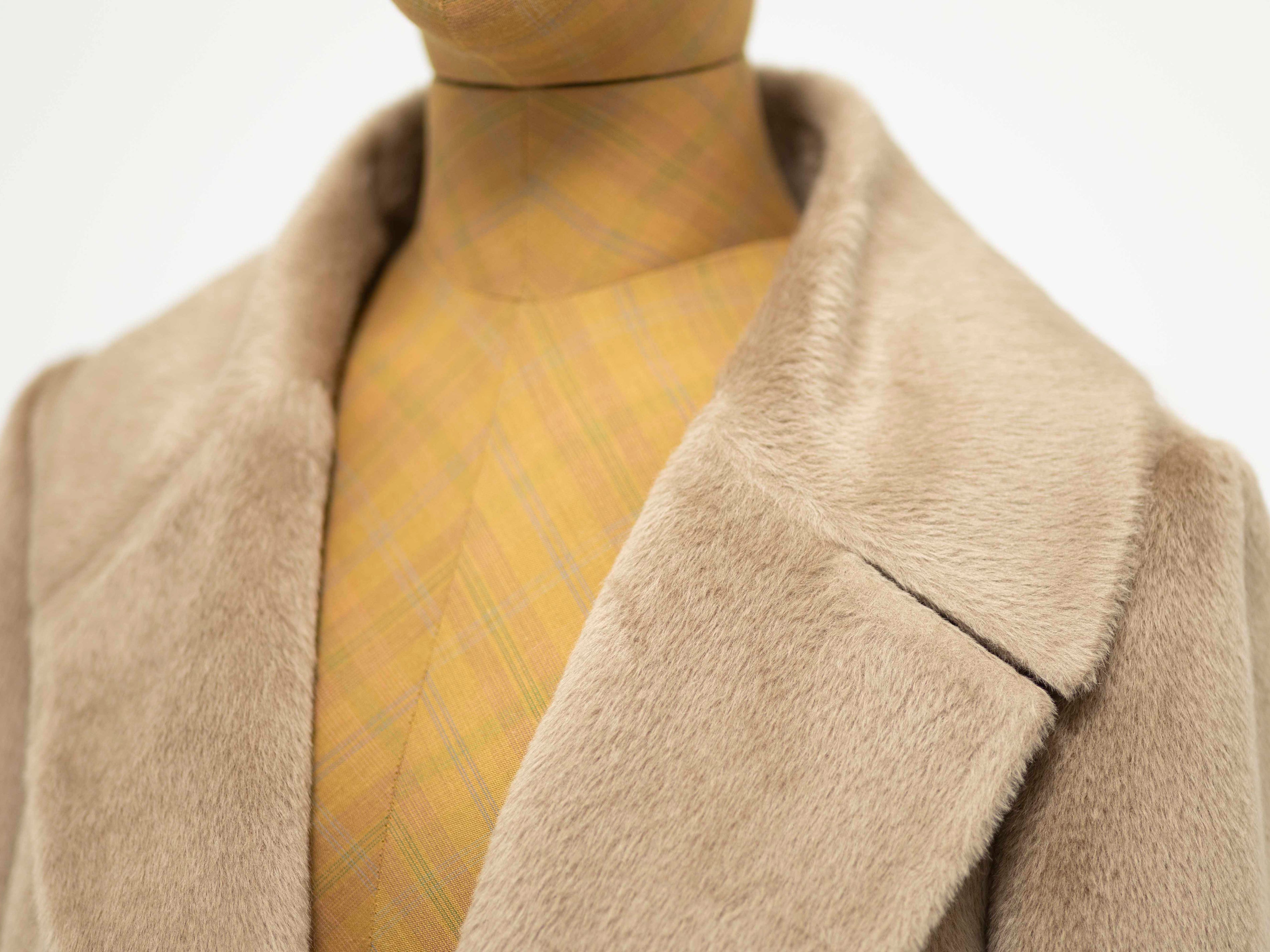THE COLOR PALETTE