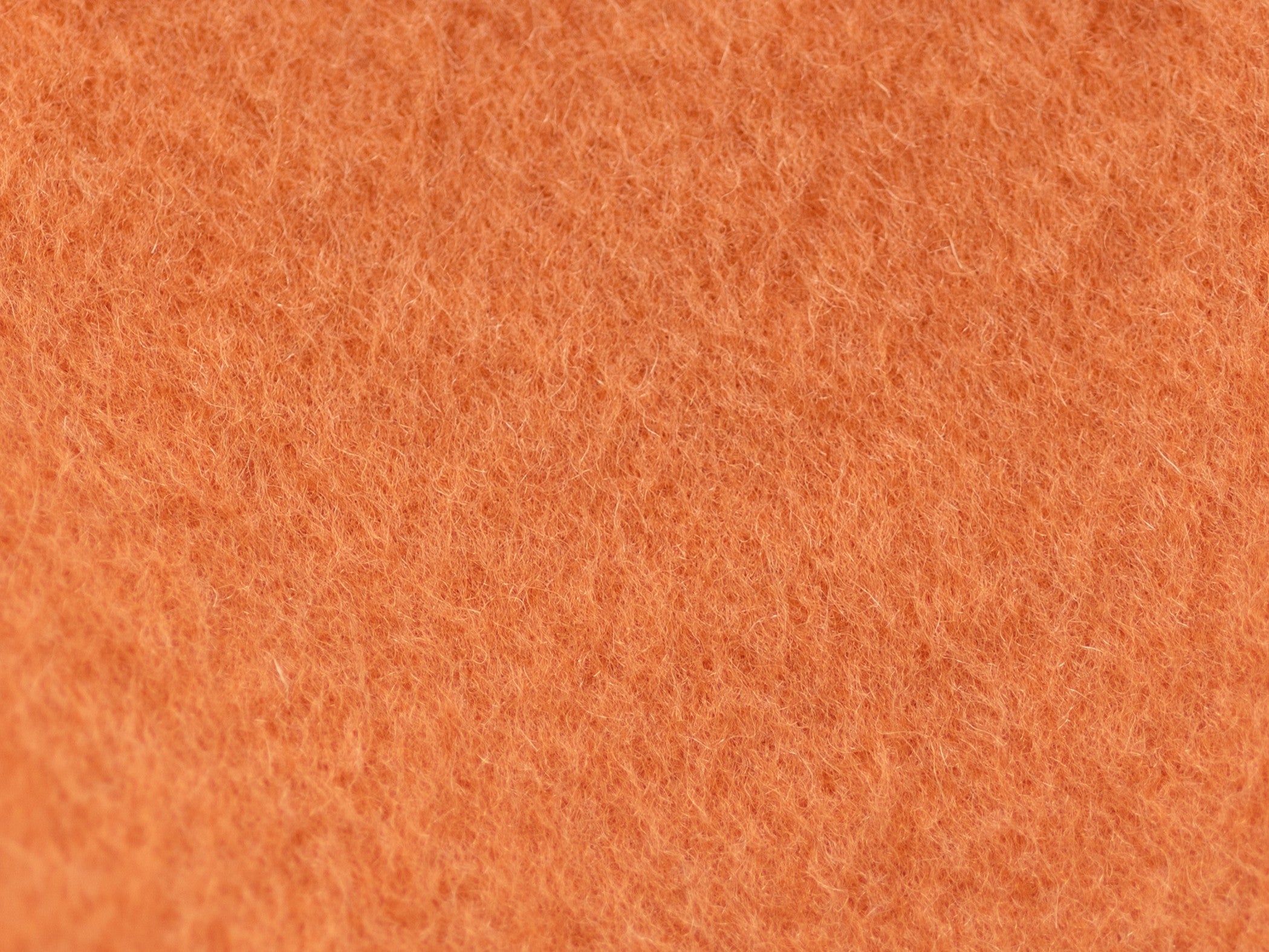 THE COLOR PALETTE