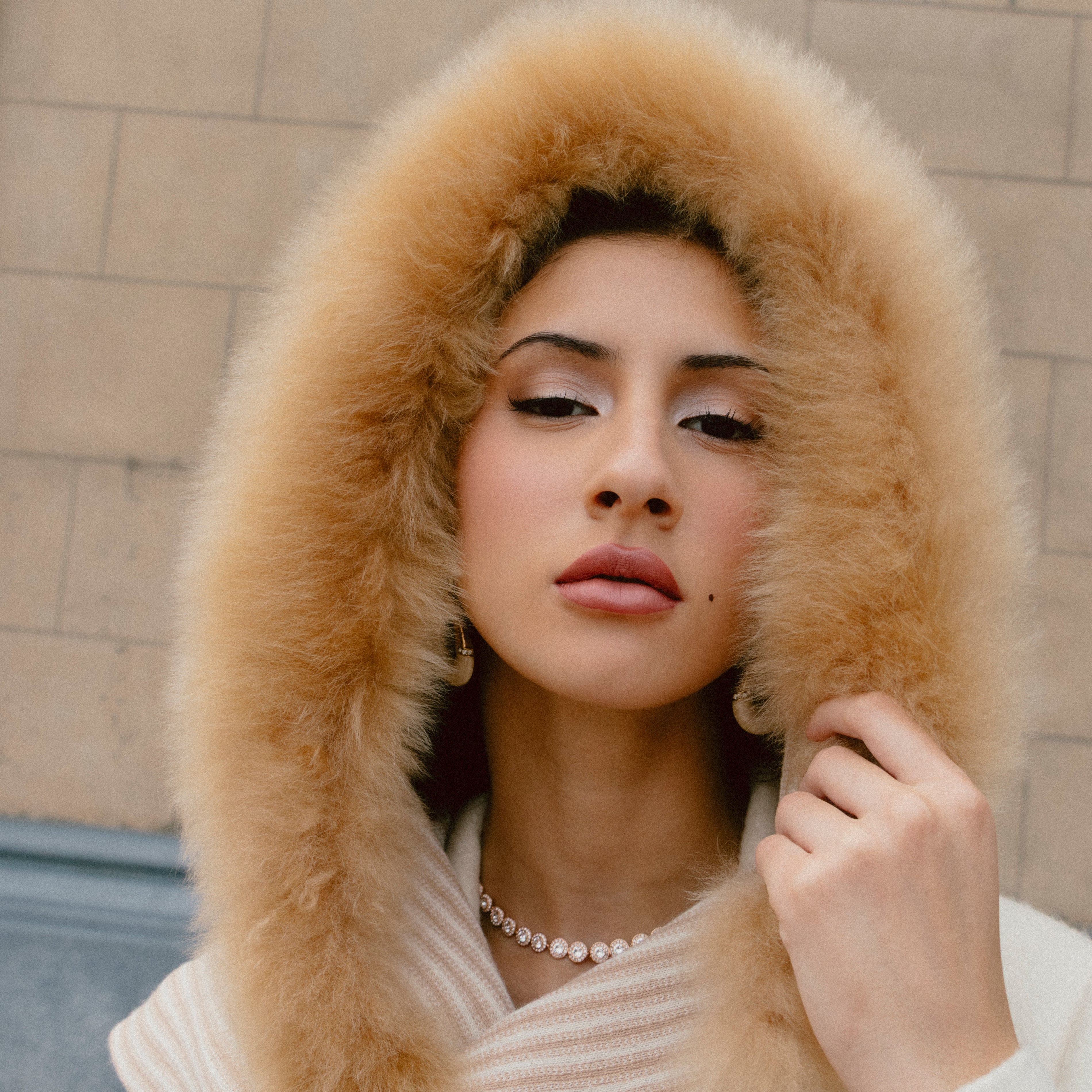 Scarf with Fur | Rosette